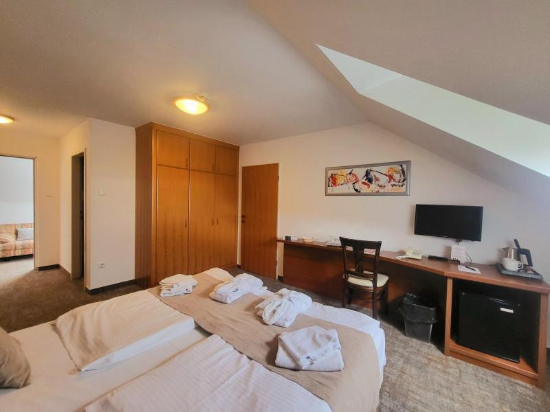 Zenit Wellness Hotel Balaton Vonyarcvashegy Exterior foto